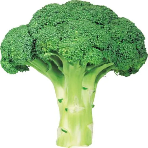 Broccoli 1Pc
