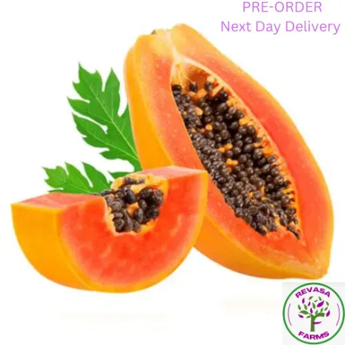 Papaya 1Pc