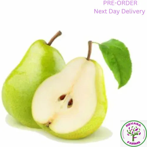 Pear Indian 3Pc