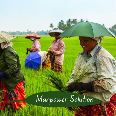 Manpower-solutions