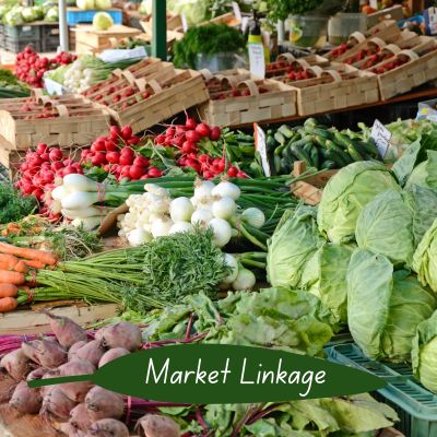 Market Linkage